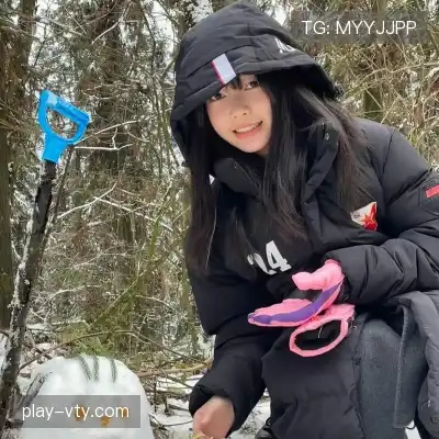 明锦柳